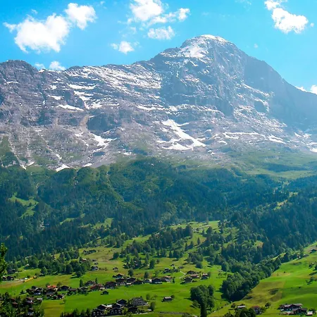 公寓 Schwendihus-4 By Interhome 格林德瓦