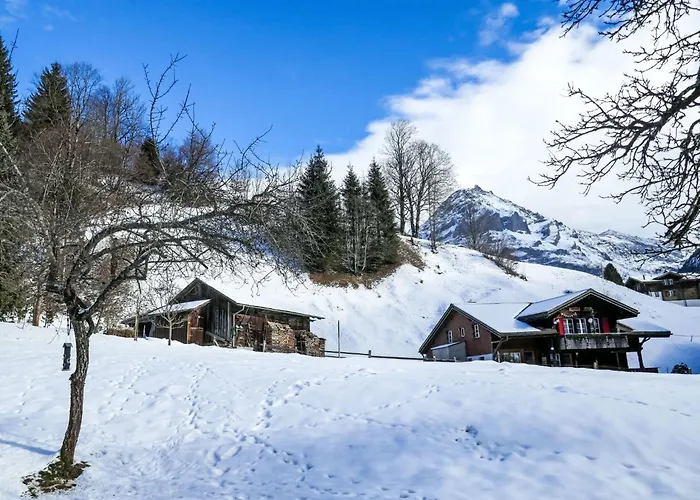 Schwendihus-4 By Interhome Apartament