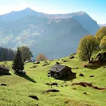 Schwendihus-4 By Interhome Διαμέρισμα *